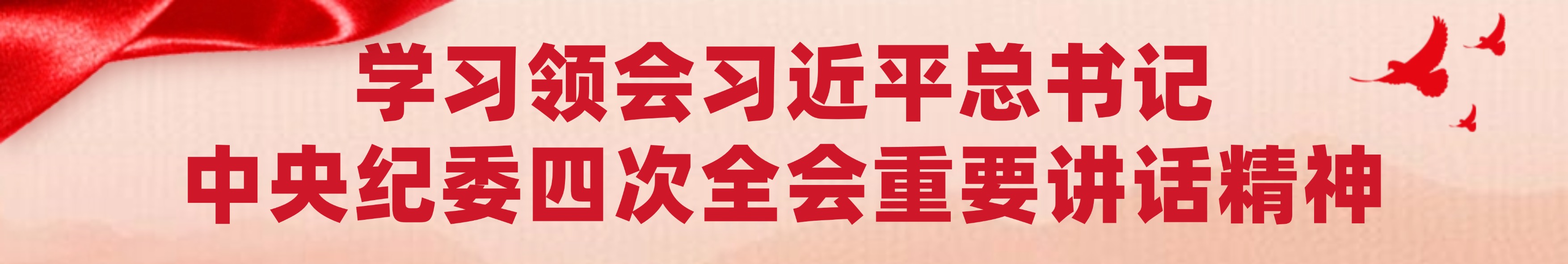 学习领会习近平总书记中央纪委四次全会重要讲话精神
